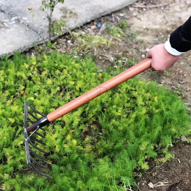 Balco Nine-Tooth Wooden Handle Rake