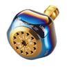 LIVRE 10175 PT42 Daiwa Fire Gold (L) &