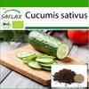 Organic - Cucumber - Marketmore - 20 Seeds - With Potting Substrate for Better Cultivation - Cucumis Sativus