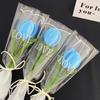 Handmade Tulip Twisting Rod Graduation Gifts Artificial Tulip Flower Sweet Flower Bouquet  Couple