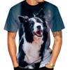 Мужская летняя футболка с принтом Бордер-колли, напечатанная на 3D-принтере