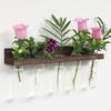 Wall Hanging Propagation Station with Wooden Stand Glass Planter Display Plant Terrarium for Wedding