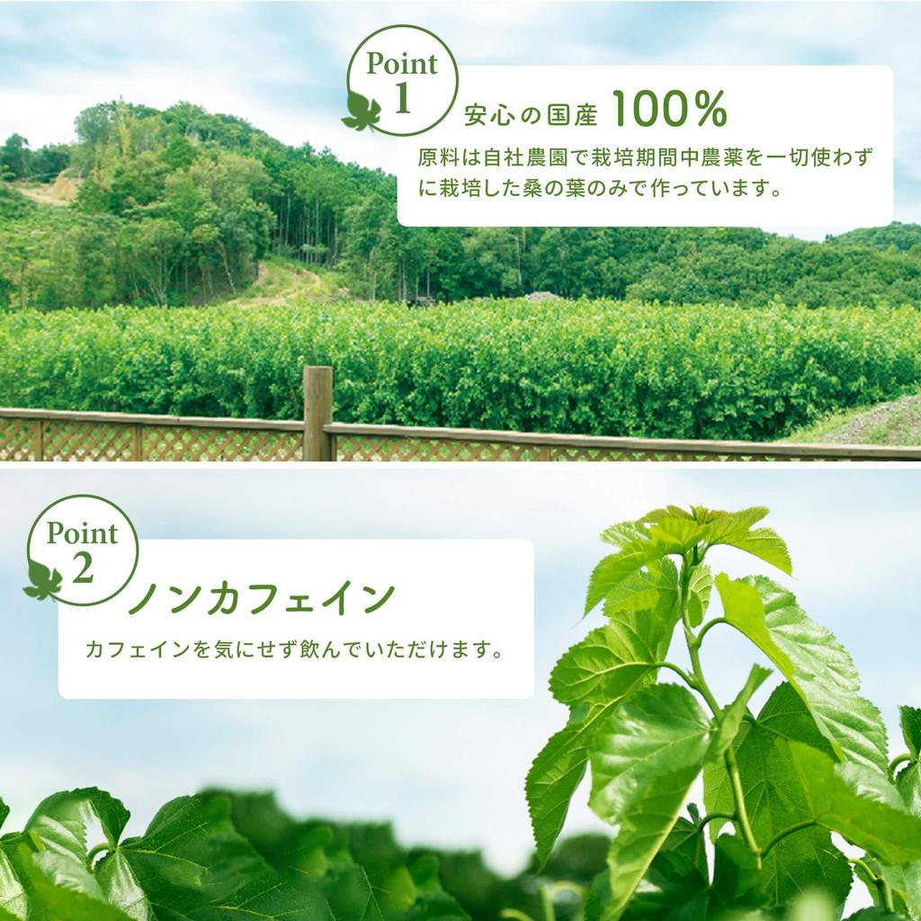 Лист шелковицы сырой 1 коробка 100 шт. листовой чайный порошок отечественного производства, [палочка шелковицы, произведенная без пестицидов, без кофеина, сок]