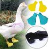 Ducks Gooses Anti-Slip Outdoor Walking Pet Supplies Duck Paw Protectors Pet Duck Shoes Duck Booties