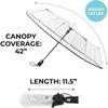 Women's Ultra Clear Auto Open Compact Umbrella, Black