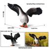 Wild Animal Model Toy Set: Swan, Lion Head, Goose