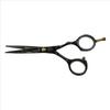 Professional Barbers Scissors 5,5 95250-55