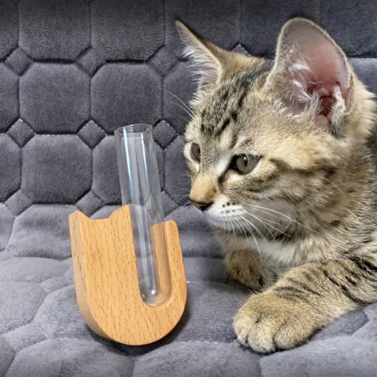 Гидропонные растения Ваза для пробирок Деревянный коллекционер для кошек и собак Магнит для холодильника Растения