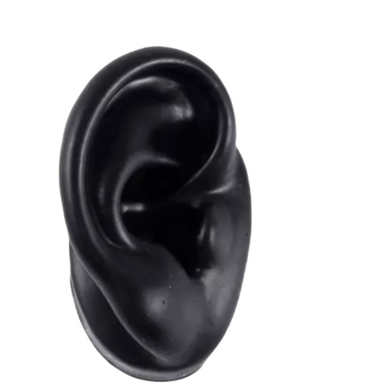 5D Силиконовая Модель Искусственного Уха, Имитирующая Настоящее, Пирсинг Сережек, Пирсинг, Пирсинг, Обучение, Слуховой Аппарат, Практика Акупунктуры, Реквизит