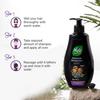 Nyle Naturals Volume Enhance Shampoo For Voluminous Hair With Reetha Blackberry & Amla Gentle Daily Care 400ml