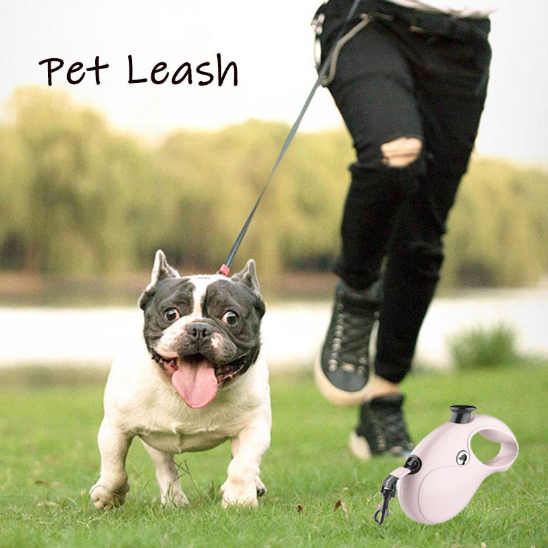 5 м Поводок для собаки Автоматический выдвижной Поводок для питомца Длинный Поводок для собаки кошки Щенка Прогулка Бег Тракция Рулетка Товары для питомцев