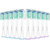 LINILEEA Electric Toothbrush Replacement Brush Sets for Philips Sonicare DiamondClean Series and 3100 Series Improved 10 Brush Sets [2025 Model]