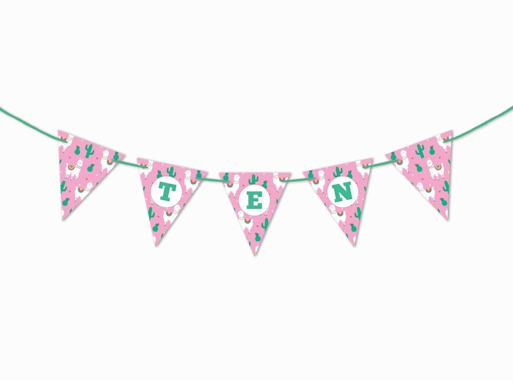 Inkdotpot Birthday Party Decorations Happy Birthday Party Garland Baby Girls Stripe Pennant Banner