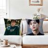 Корейский певец C-Cha E-Eun-W-Woo Наволочка Офисные Подушки Подходят для Дивана Машины Спальни Декоративная Наволочка