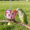 Жевательная игрушка для птиц с колокольчиками Натуральный вулканический камень Зантоксилум Бунге Птичья клетка Игрушка Здоровье полости рта Птичий аксессуар