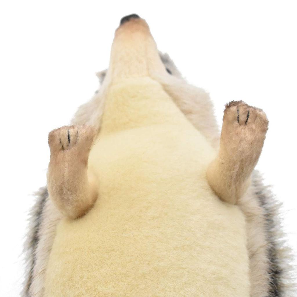 BH6807 HANSA Pygmy Hedgehog 23