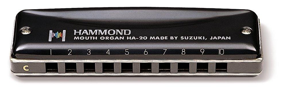 Suzuki HAMMOND 10-отверстийная губная гармошка HAMMOND G тон HA-20