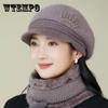 Autumn and Winter Faux Rabbit Fur Hat Women's Fashion New Short-brimmed Cap Warm Windproof Piled Thickened Knitted Wool Hat
