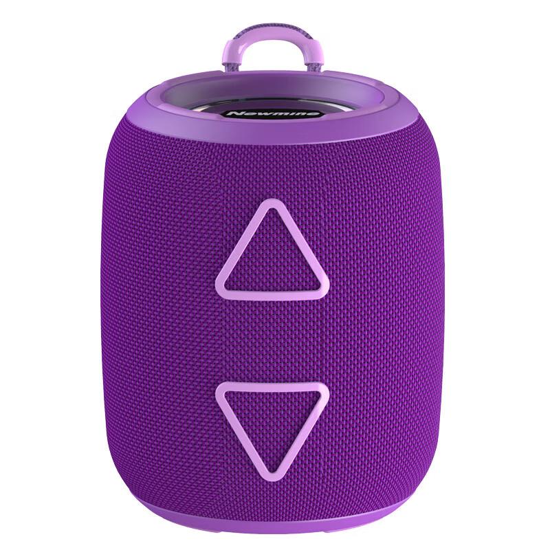 Портативная Bluetooth-колонка Newmine BT87, штекер CN (адаптер в комплекте)
