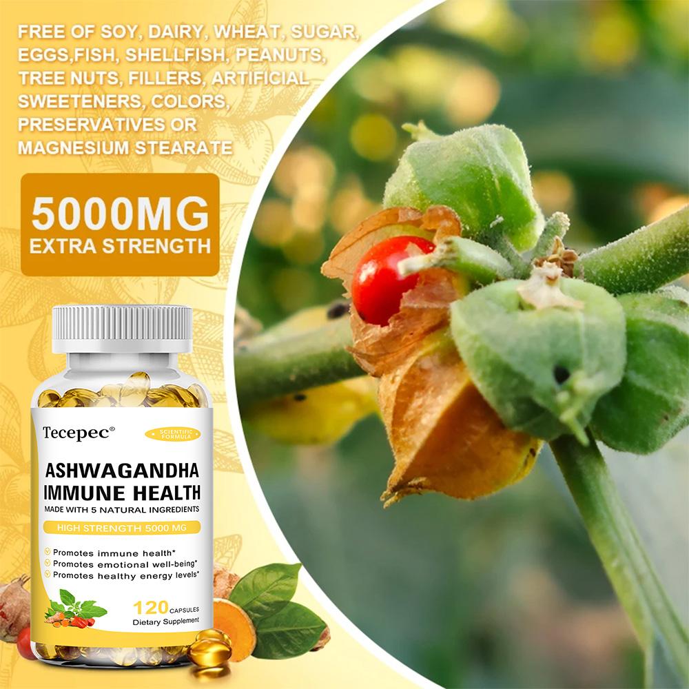 Turmeric Root Supplement, With Rhodiola Rosea Root, Ginger Root, Black Pepper Extract