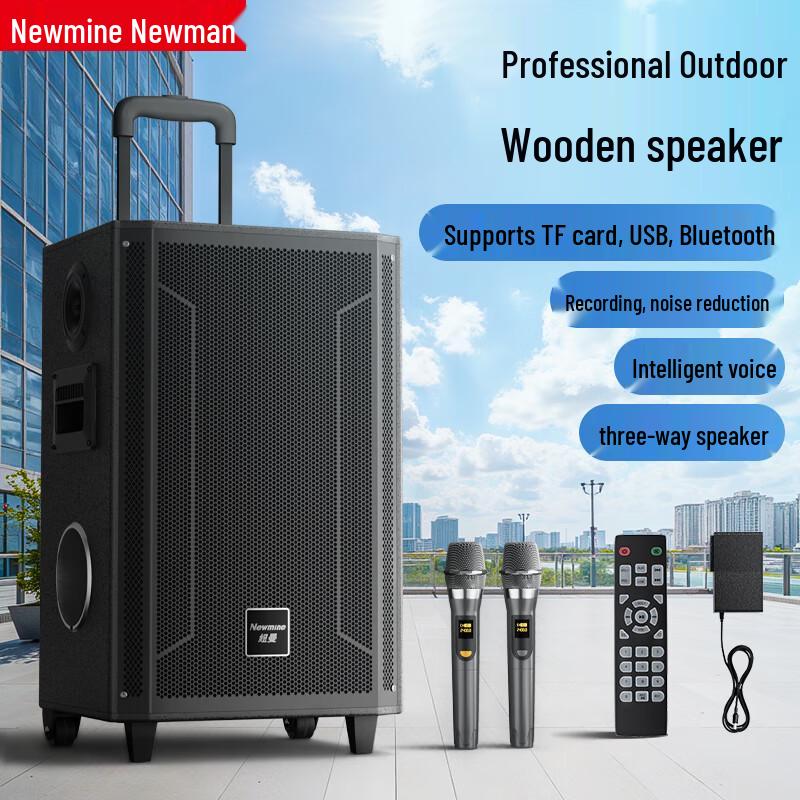 Портативная Bluetooth-колонка KTV Newsmy N537, 12 дюймов, китайская вилка (адаптер в комплекте)
