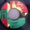 7inch Record CHEZIDEK - A No Nothing SV45008 Soul Vybz 2006 Jamaica Reggae, Ska & Dub Used