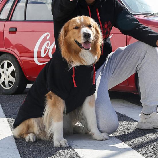 Dog Hoodies Plaid Love Heart Pattern Warm Fashion Pullover Pet Sweatshirt Winter Two-legged Clothes for Small Medium Large Dogs