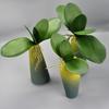 Искусственная Орхидея Фаленопсис и Листья Кливии - Реалистичное PU Покрытие
