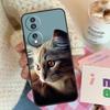 Комплект Котиков Милый Чехол Для Honor X8 X6 X7 X9 Magic 4 5 Pro 50 70 90 Lite 8X Honor X9a X6a X7a X8a X9b Чехол