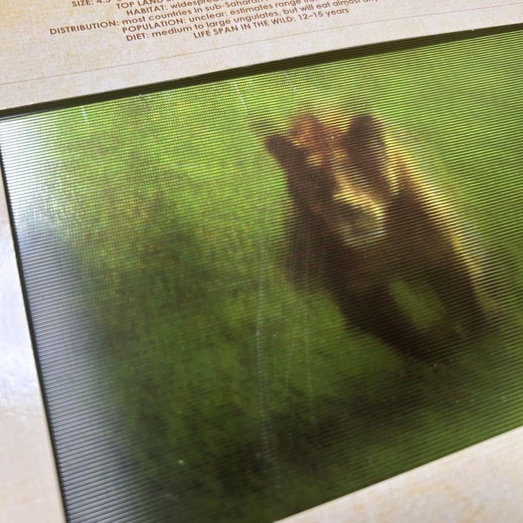 [Б/У] Книжка-панорамка САФАРИ