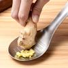 Ginger Grater Spoon, Stainless Steel Lemon Zester Spoon, Mixer Ginger Gratern Garlic Grinding Tools Cheese Grater Mixing Spoon, Baking Tools,