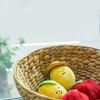 Набор игрушек-писка Dingdog Pet Gaeruts Lemon Aepong + открытка, разные цвета, 1 комплект