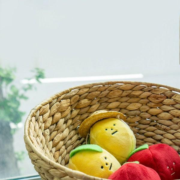 Набор игрушек-писка Dingdog Pet Gaeruts Lemon Aepong + открытка, разные цвета, 1 комплект