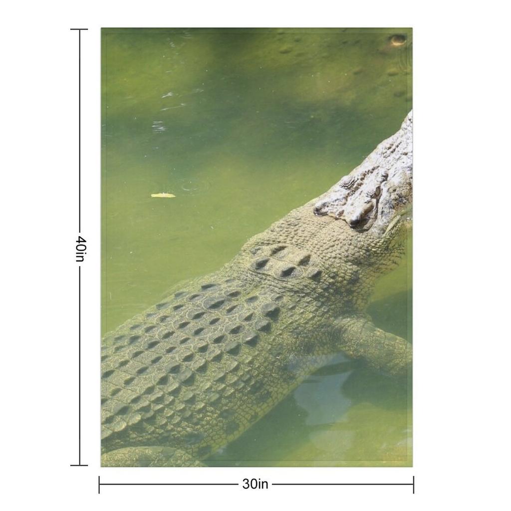 Australian saltwater crocodile Throw Blanket Designers funny gift halloween Sofa Blankets