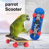 Parrot Scooter Matte Surface Mini Skateboard Parrot Toy Flexible Wheel Bird Training Toy for Budgies Parakeets