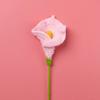 1P Cartificial Calla Вязаные цветы крючком Калла Лилия Букет Креативные искусственные цветы Растения для вечеринки Декор для дома Подарок