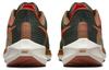 Nike X Hola Lou Air Zoom Pegasus 39 'A.I.R.' DO9500-300