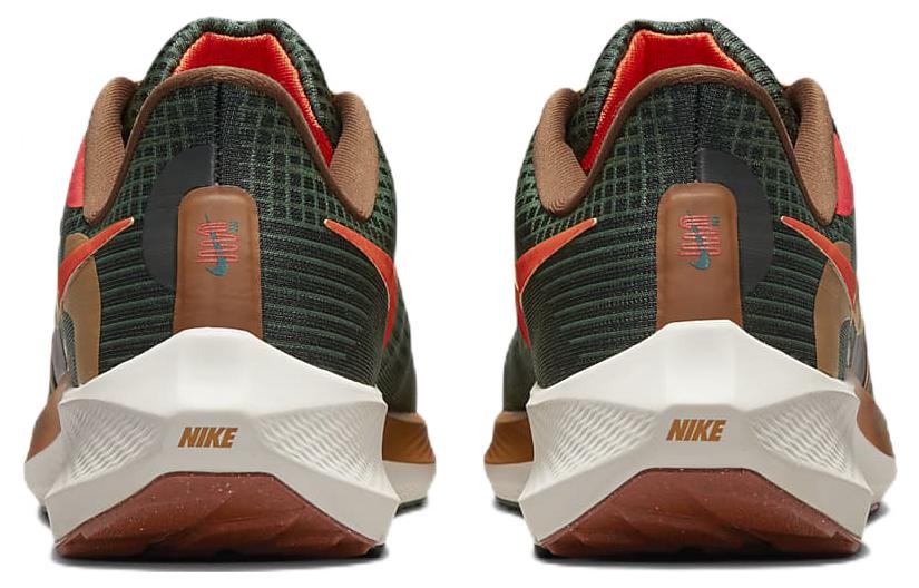 Nike X Hola Lou Air Zoom Pegasus 39 'A.I.R.' DO9500-300