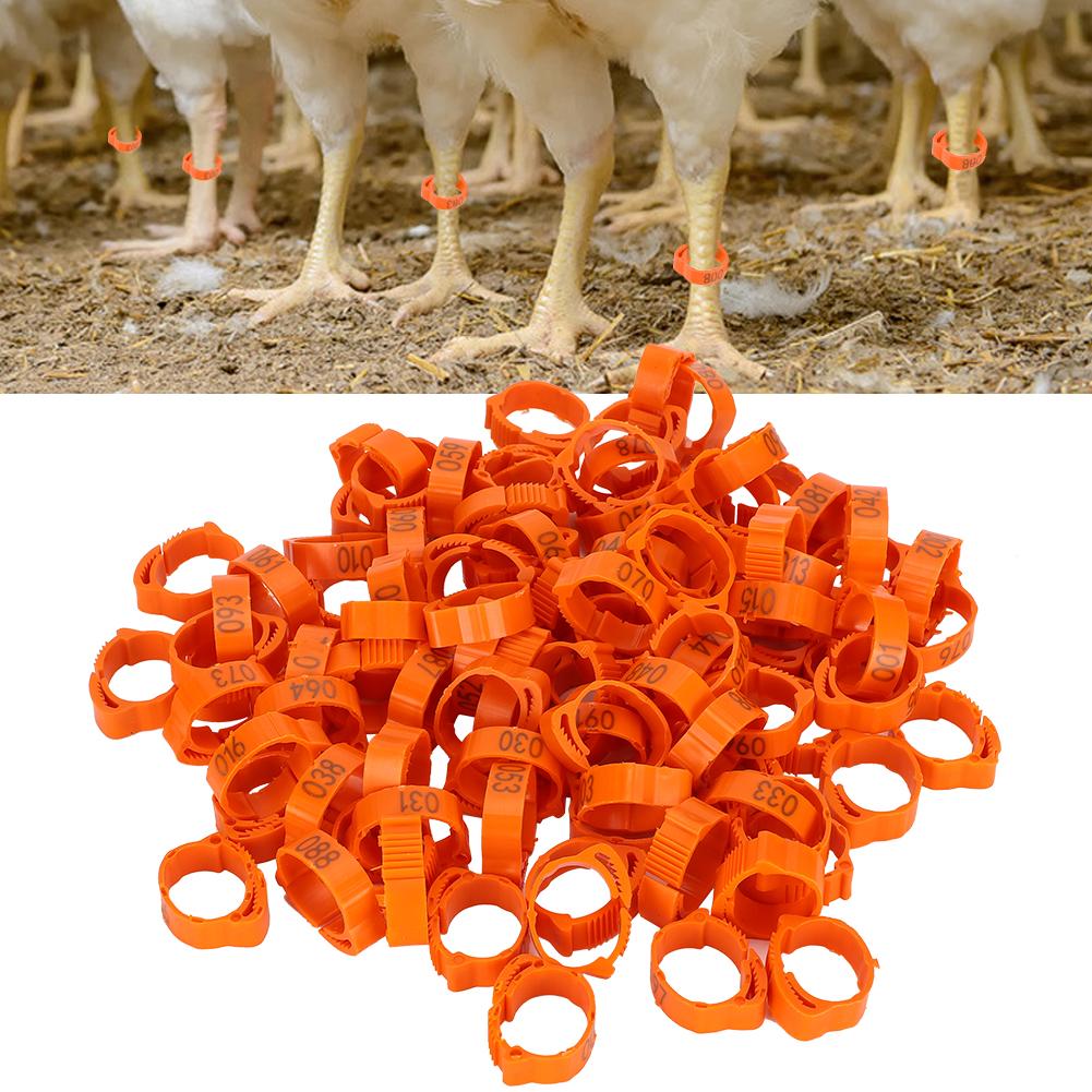 100 шт., кольцо для ног птицы, курица, утка, птица, пряжка, кольцо с зажимом и табличкой для кормления