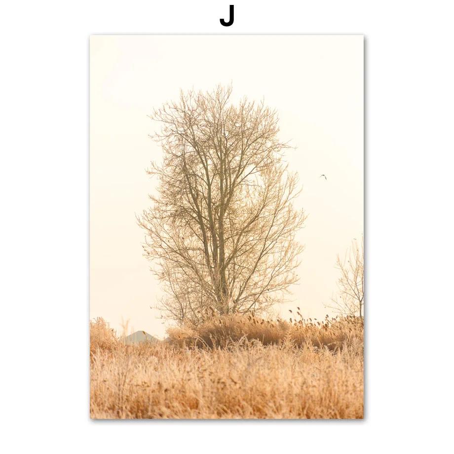 Autumn Bridge Lake Forest Wheat Grass Fall Posters Prints Canvas Painting Nordic Wall Art Pictures For Living Room Home Decor