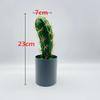 Cactus With Plastic Flowers For Indoor Home And Office Decor