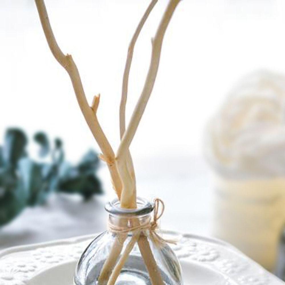 Декор для дома Очищающий воздух Аромат Ветка ивы Аромадиффузор Сухие ветки Ароматерапевтические палочки