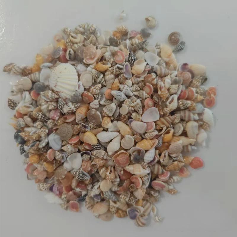 Смешанные ракушки-спирали 200/400/1000 шт. Нетоксичные assorted бусины для изготовления украшений своими руками, декора стола
