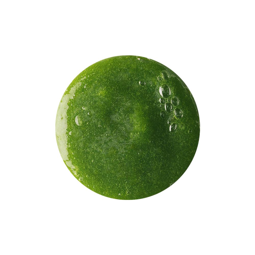 [Lush] Wasabi Shan Kui Shampoo 110g