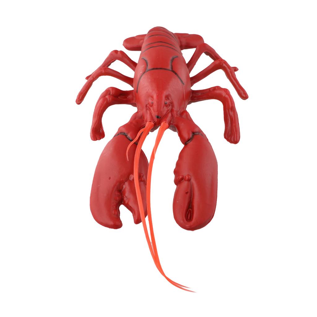 Plastic Lobster Model Simulation Lobster Detailed Craftsmanship