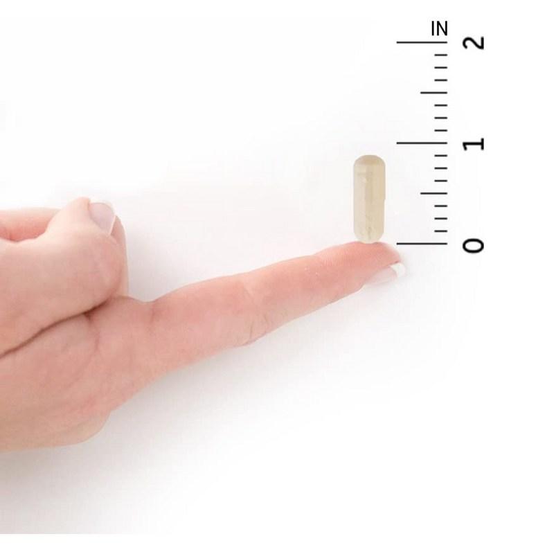 Garden of Life Беременность Lactobacillus Женский Lactobacillus 20 млрд КОЕ 30 капсул, запас на 4 недели, 30 таблеток, 2 единицы