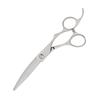 DEEDS GTZ Curved Scissors for and Professional Haircutters (6.0 Inches) Hairdressers, Barbers,