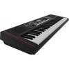 Roland E-X10 Electronic Arranger Keyboard, Easy Operation, 61 Keys, Auto Accompaniment, Microphone Input, Recording Function, Battery Operation, Perfe