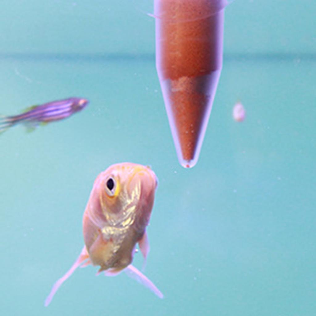 1pc Automatic Fish Feeder Uncharged Worm Feeding Cone with Suction Cup for Fish and Shrimp Feeder Tool