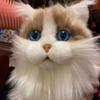 Cute Realistic Cat Plush Toy Fluffy Kitten Soft Stuffed Animal For Children
